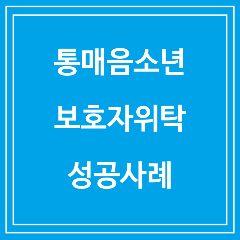 통매음소년 보호자위탁 성공사례