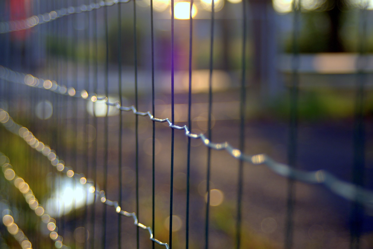 the fence 1612939 1280