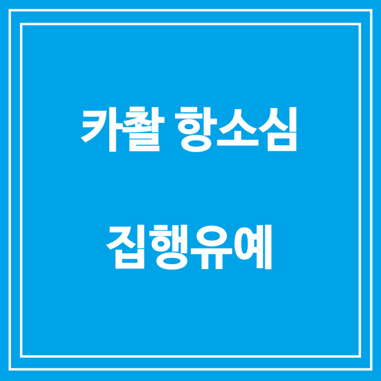 카메라 촬영 항소심 집행유예