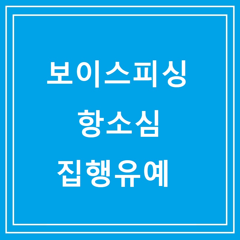 보이스피싱 항소심 집행유예
