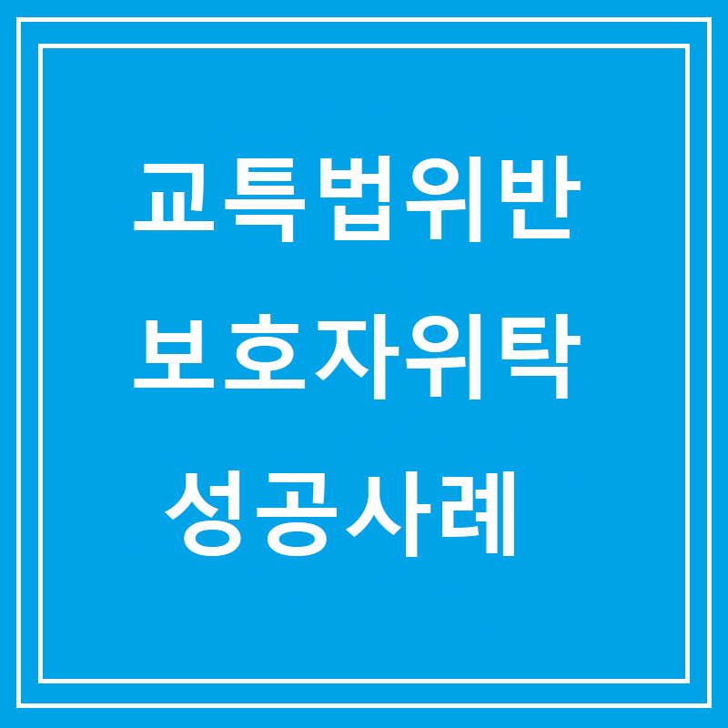 교특법위반 보호자위탁 성공사례