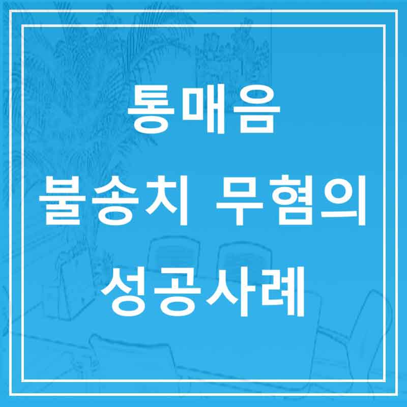통매음 불송치 무혐의 성공사례